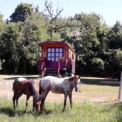 Campingplätze in den Cevennen